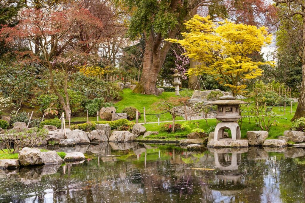 A serene view of Kyoto Garden in Holland Park, London, featuring a reflective pond surrounded by lush greenery, vibrant trees in shades of yellow and red, and traditional Japanese stone lanterns.