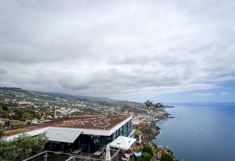 A coastal view with a rooftop garden and city backdrop, overlooking the calm sea.